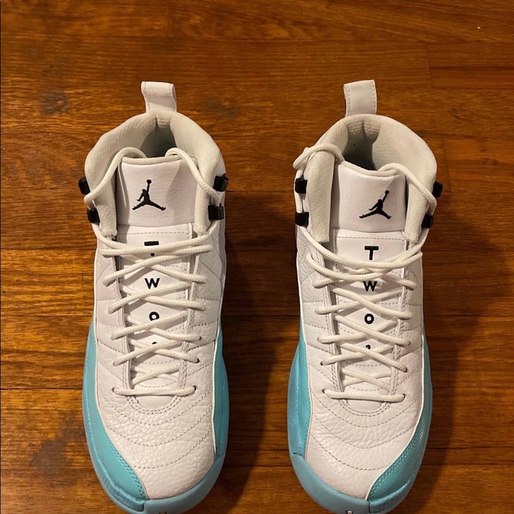 Jordan retro 12